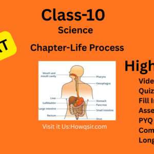 life process