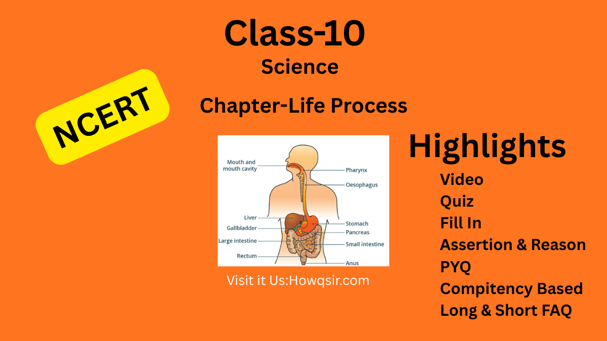 Life Processes: | Class 10 Science ,NCERT
