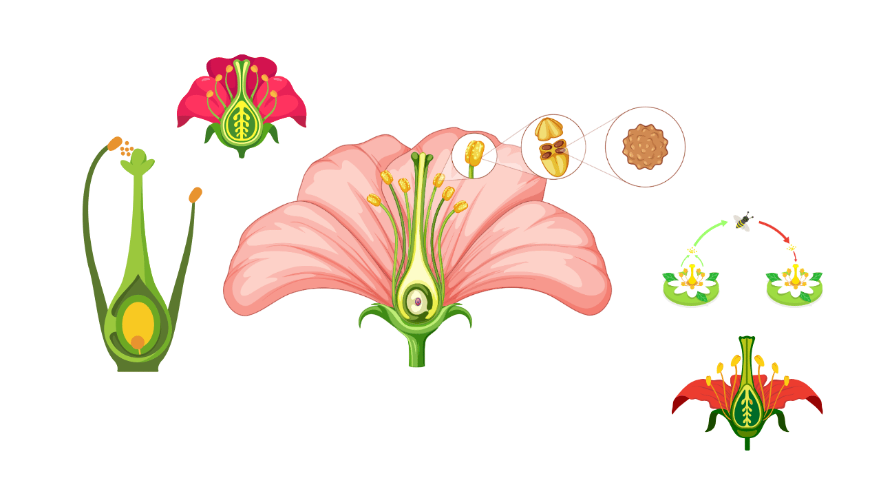 Biology Class 12th CBT Based Test